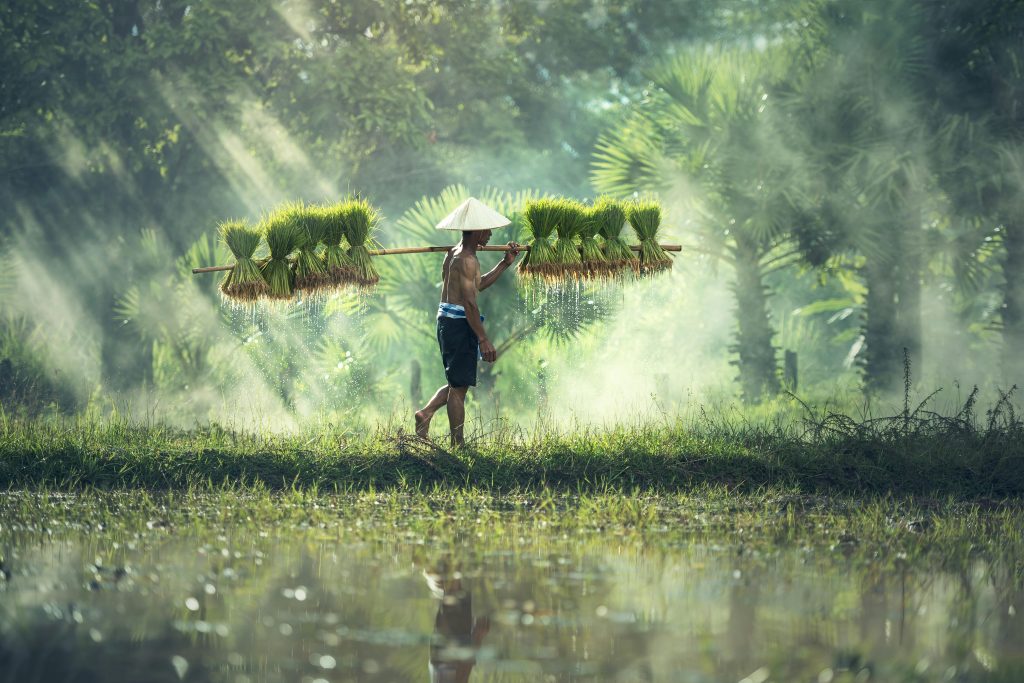 5 steps I took to make my business more sustainable