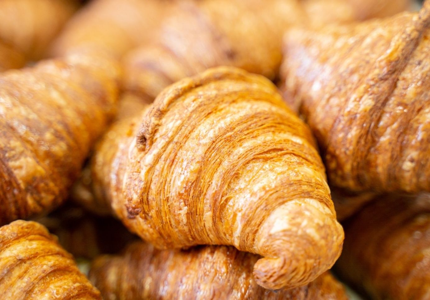 wholesale bakery supplier